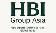 Official logo of HBI Group Asia — global trade and export infrastructure platform.