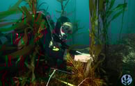 Institute for Marine and Antarctic Studies