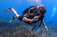 Plongée sous-marine PADI-Pierre LACROIX