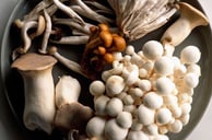 HERE, THE MUSHROOM IS A BLADE. A SHIELD. A STORY.