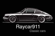 Raycar 911 - Classic Cars