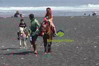 Naik Kuda di pantai watu pecak