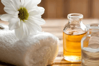 roman chamomile essential oil