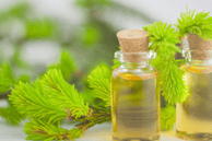 tea tree essential oil