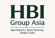 Official logo of HBI Group Asia — global trade and export infrastructure platform.