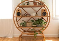 a wooden shelf with a plant in it