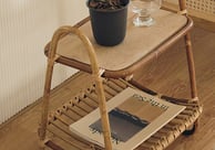 a table with a plant in a potted plant