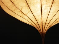 LEPTUSA Lampenschirm aus Papier mediterane Lampe organische Deckenlampe groß