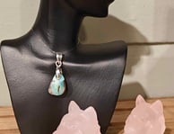 een hanger van abalone met zilver