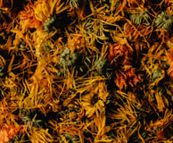 dried chamomile flowers