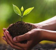 SAVE SOIL