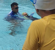 coach Ck singapore swimming