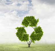 eco-friendly-house-clearance-birmingham