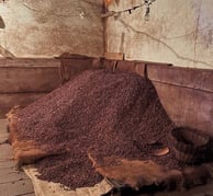 tas de graines de cacao