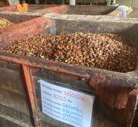 bac de cacao