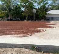 champ de cacao
