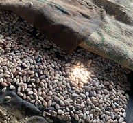 sac de cacao