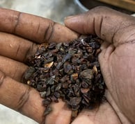 paume de main cacao