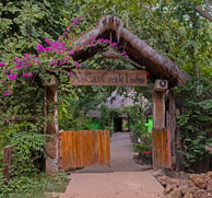 A serene image of Abca's Creek Lodge, located on the edge of a picturesque creek surrounded by mangr