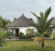 A scenic view of Tanema Creek in Brufut, featuring a tranquil waterway lined with lush mangrove fore