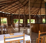 A serene view of Sita Joyeh Baobab Island, featuring towering baobab trees with their distinctive th