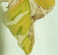 Yellow leaf