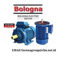 PT. Sarana Teknik Indonesia jual electric motor dengan harga terbaik dan kualitas terbaik.