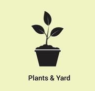 Plants & Yard