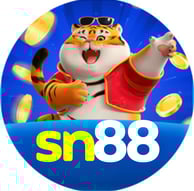sn88.com