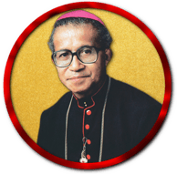 Mgr. Hilarius Moa Nurak, S.V.D. †