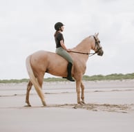 couple cavalier cheval plage