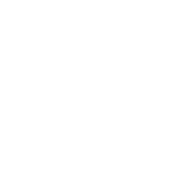 Consultoría Especializada de TI