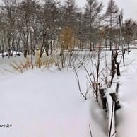 Domaine Maizerets, hiver.