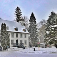 Domaine Maizerets, sapins.