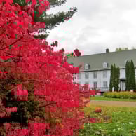 Domaine Maizerets, feuilles rouges.