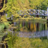 Domaine Maizerets, pont, automne.