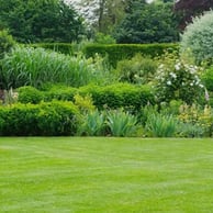 Landscaped Gardens Throughout the Project