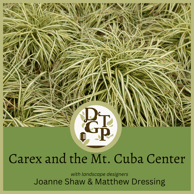 Matthew Dressing Down the Garden Path Podcast Sam Hoadley Carex Mt. Cuba Center