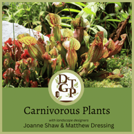 Matthew Dressing Down the Garden Path Podcast Carnivorous Plants Plantzza Hut Tamara Urben-Imbeault