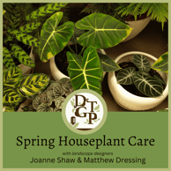 Matthwe Dressing Spring Houseplant Care Down the Garden Path Podcast