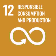 sdgs 12 concha