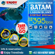 tour operator for snorkeling, tour batam, enjoy batam, sea sport batam, cheap tour, private tour