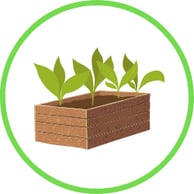 Build a Raised Bed in the Garden