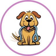 Take the Dog for a Walk