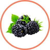 Go Blackberry Picking