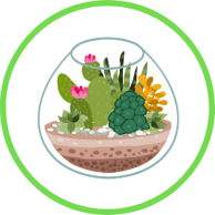 Create a Terrarium