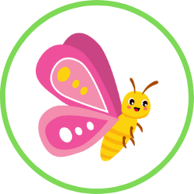 Raise your own Butterflies