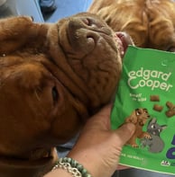 Pumpkin nibbling on the bag of Top Dog Bites in Apple & Blueberry flavour