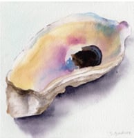 watercolor painting of an oyster shell