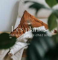 instagram home sacré plante intérieur